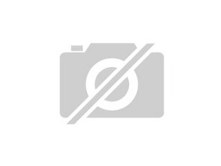 Überführungen/Tranportbegleitungen